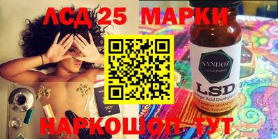 гидропоника Сланцы
