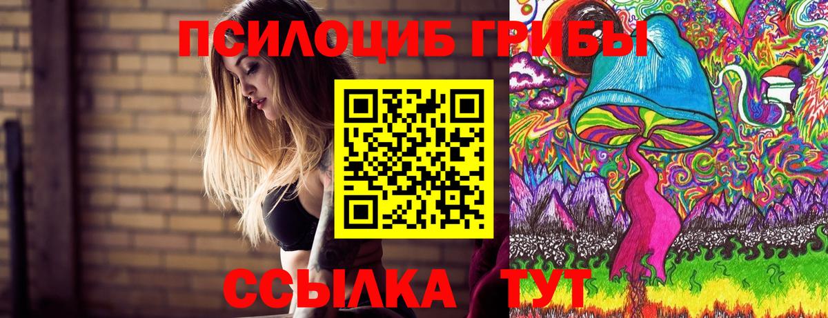 Наро-Фоминск  Галлюциногенные грибы Psilocybe  Вход с VPN 